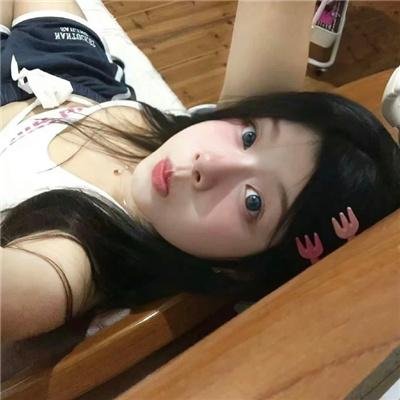 史前狂鲨